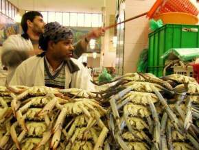 kuwait fahaheel market